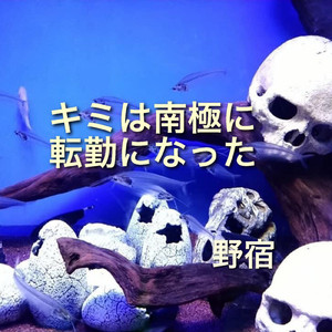 キミは南極に転勤になった