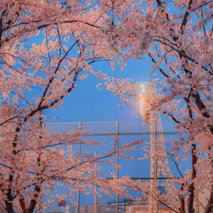 尘埃（原唱：家家）（翻自 家家）