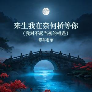 来生我在奈何桥等你（我对不起当初的相遇）