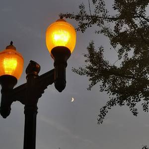 第三人称 （for L）