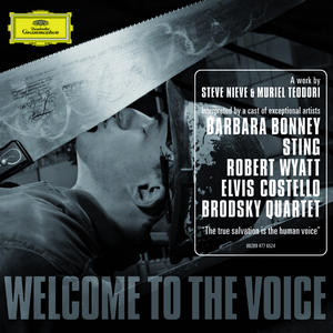 Welcome to the Voice - Troublemaker