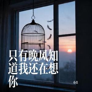 只有晚风知道我还在想你