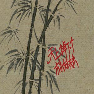 天上掉下个林妹妹