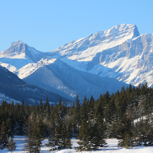 Alberta