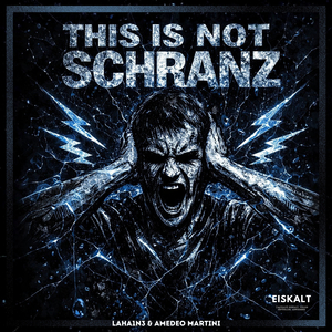 This Is Not Schranz
