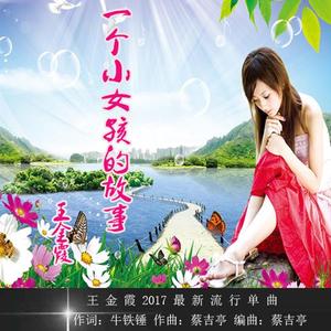 一个小女孩的故事