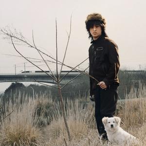 烟花杀死孤独的人