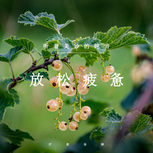 自然宁静淡雅 (安静轻音乐)