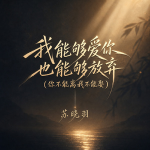 我能够爱你也能够放弃(你不能离我不能娶)