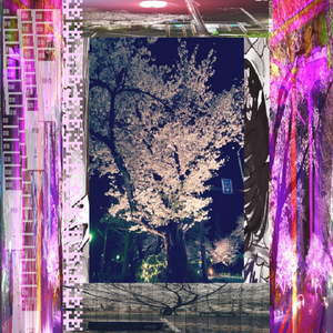 ISOLATAION (())remix