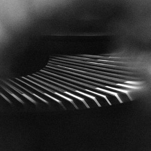 Metallyticus Splendidus