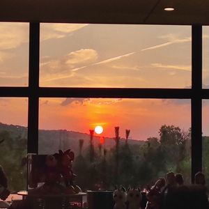 窄门（Prod by $noopcatt$）