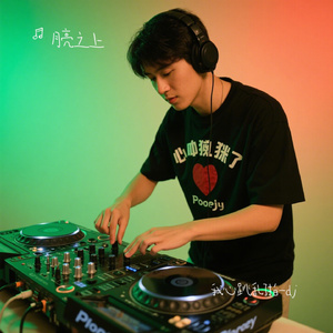 我心跳乱了拍-dj