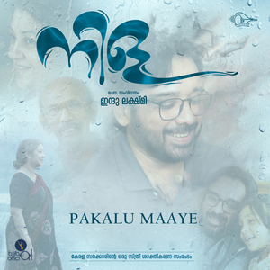 Pakalu Maaye (From "Nila")