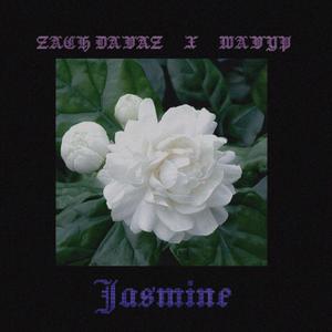 Jasmine