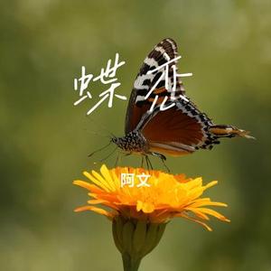 蝶恋 (Cover 梶)