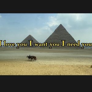 I love you I want you I need you