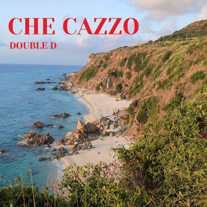 Che cazzo