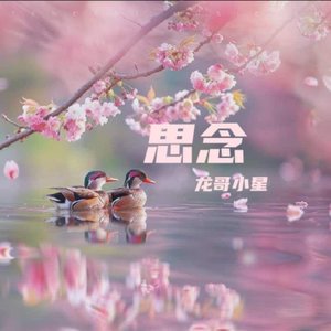 思念
