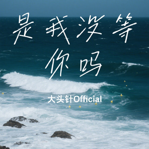 是我没等你吗