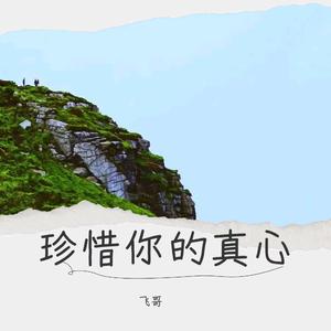 珍惜你的真心