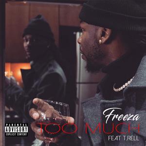 Too Much (feat. T-Rell) (Radio Edit)