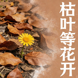 枯叶等花开