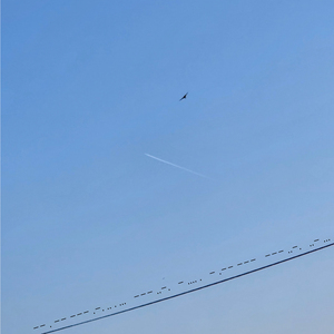 둘만 아는 기억