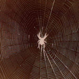 My Nighty<angel cloth>