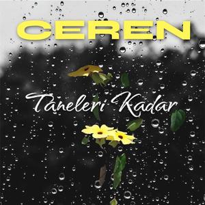 Taneleri Kadar