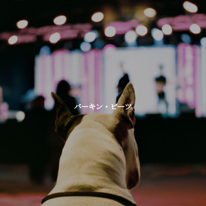 Mind-blowing Chill Down Times