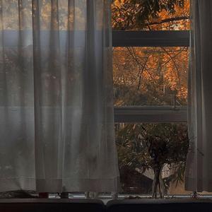 初恋旧爱新欢（cover 林力尧）（翻自 林力尧）