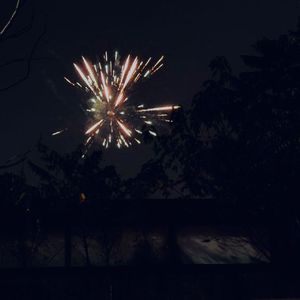 夜明けと蛍(cover n-buna)