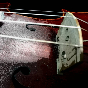 Travel With New Friend