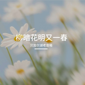 柳暗花明又一春