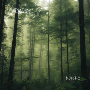 湖水的平淡