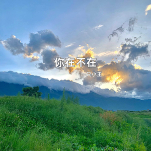 你在不在