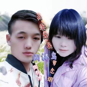 夫妻本是同林鸟 (伴奏版)