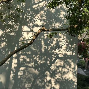 消逝已至（Prod.DIVINE MUSIC）