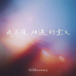 我不懂相遇的意义