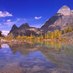 原来爱久了就真的不爱了