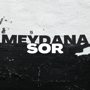 Meydana Sor