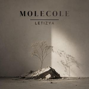 Molecole