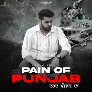 Pain Of Punjab