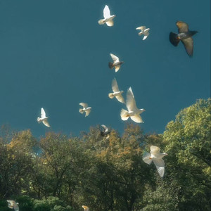 很任性（很任性相爱过）小野来了