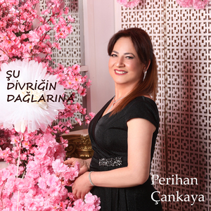 Şu Divriğin Dağlarına