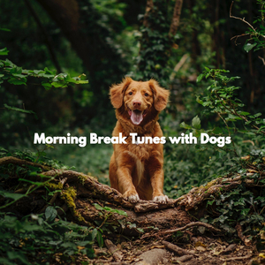 Chilled (The Cutest Puppy)