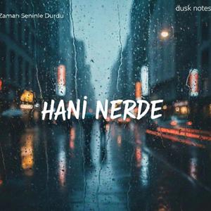 Hani Nerde
