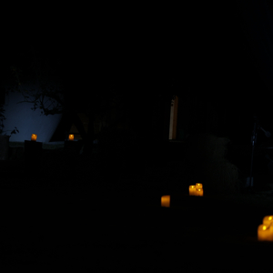 变成陌生人何尝不是待我如初