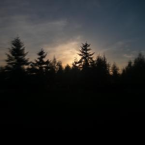 杀死那个石家庄人（吉他+口琴）（实验音乐）